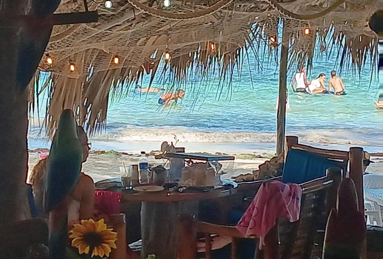 구아야카네스 1Vida Bar Restaurante B&B 0*,  도미니카 공화국
